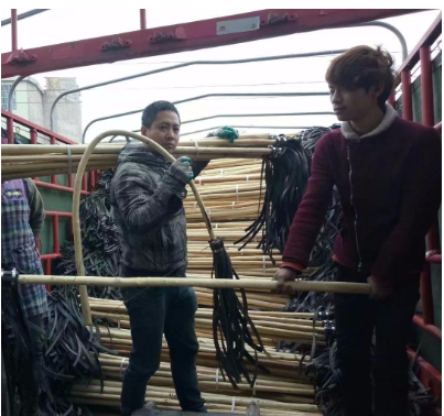 森林灭二号工具